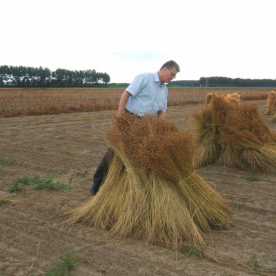 Talentcard van Herman Verhelst