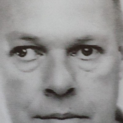 P.J. Wilmink