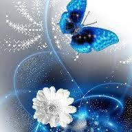 Talentcard van fien damen