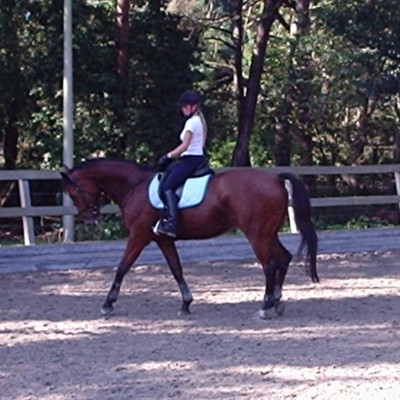 Lisette Smink