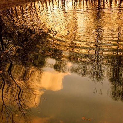 Talentcard van desiree kreukniet