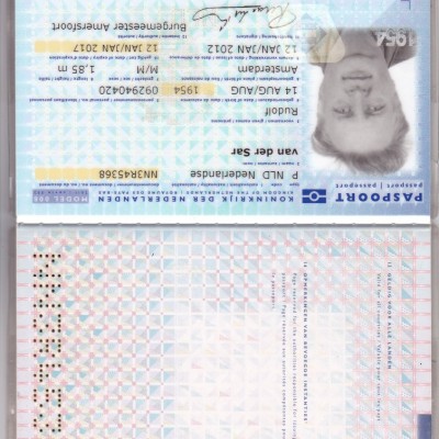 Talentcard van Ruud van der Sar