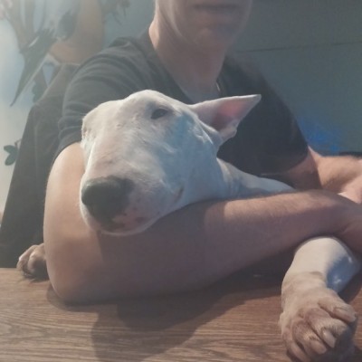 Talentcard van hans weijers