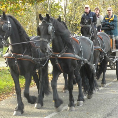 Talentcard van Adri-Jan van der Velden