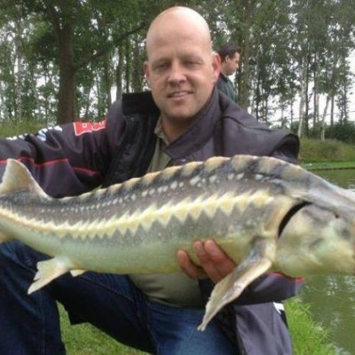 Talentcard van Jeroen Alferink